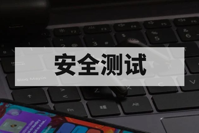 WEB 应用安全测试专业方案